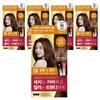 Elastin Salon De Ann Gray Hair Dye Cream Natural Brown 5 Pcs
