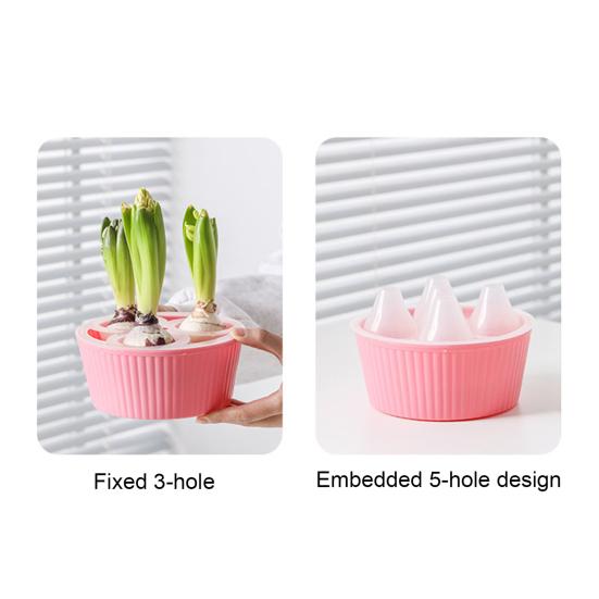 Hydroponic Bulbs Planter Pot Holes Tulip Bulbs Container Indoor Narcissus Flower with 46086 Plants Water Planting