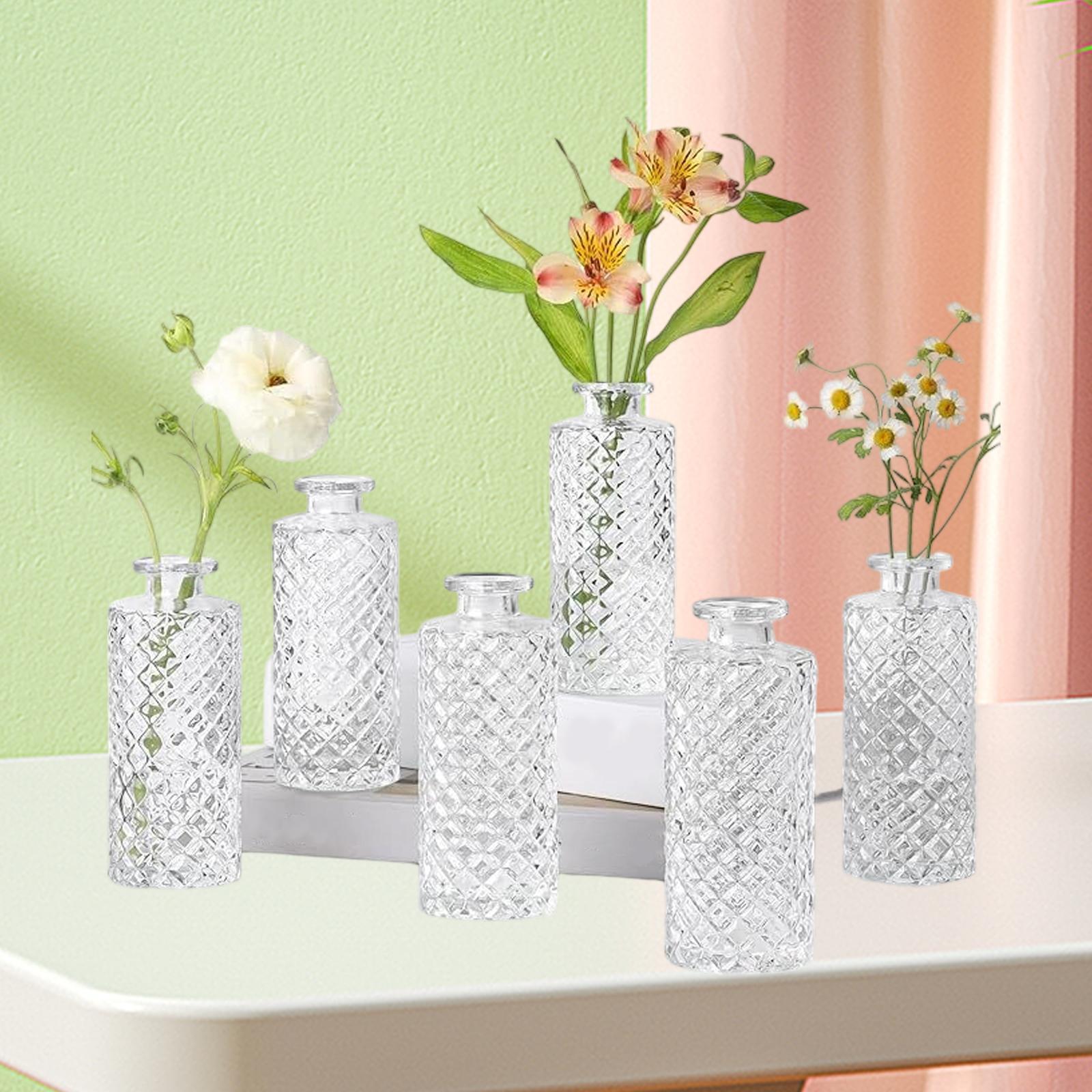 

6 Glass Vases for Floral Arrangements, Decorative Plant Containers, for Office прозрачный