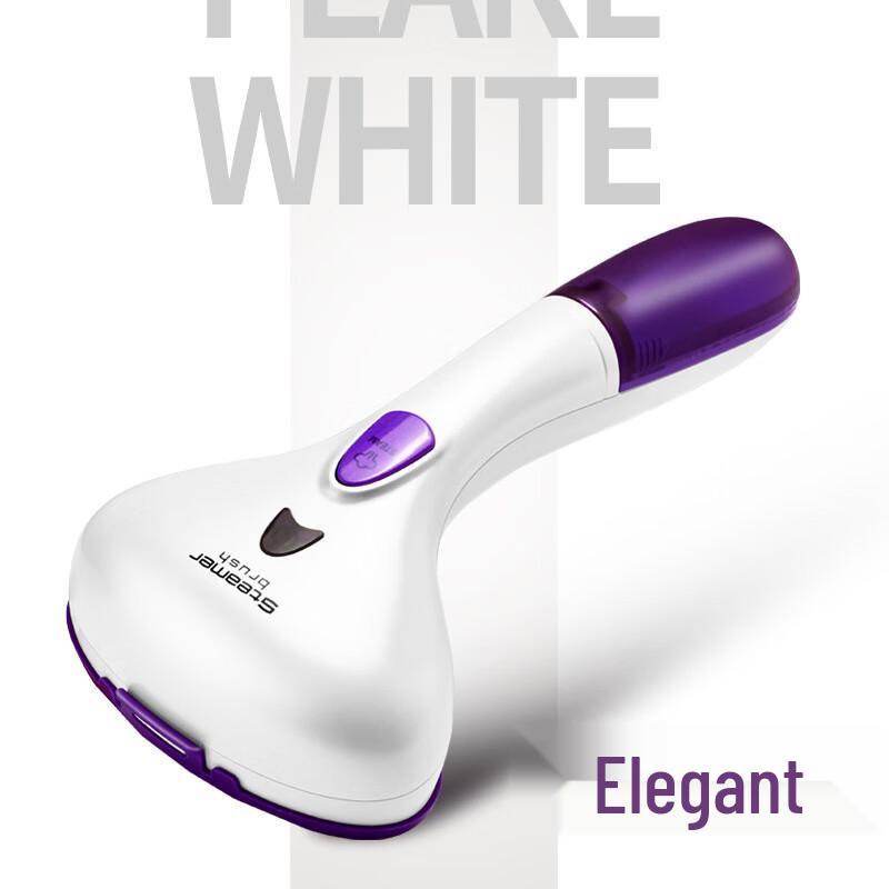 Hangdian Portable Steam Iron CN plug (adapter included)