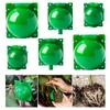 6pcs Plant Rooting Ball High Pressure Propagation Root Growing Box Garden Reusable Cutting Grafting Ball Breeding Equipment TMZ