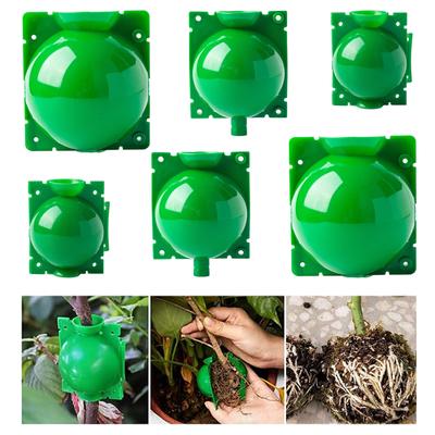 6pcs Plant Rooting Ball High Pressure Propagation Root Growing Box Garden Reusable Cutting Grafting Ball Breeding Equipment TMZ