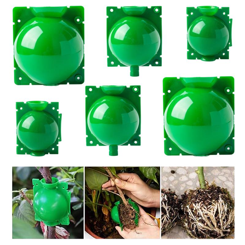 6pcs Plant Rooting Ball High Pressure Propagation Root Growing Box Garden Reusable Cutting Grafting Ball Breeding Equipment TMZ