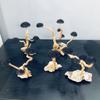 Aquarium Decoration Moss Driftwood Fish Tank Landscaping Water Grass Moss Tree Trunk DIY (No Aquatic Plants)