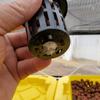 10pcs Hydroponic Baskets Plant Veg Grow Nursery Cup Pot Tray Aeroponic Planter Mini Wide Lip Design Black and White Garden Tools