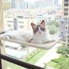 Foldable Cats Hammock Window Perch Winter Sleep Bed Cats Suction Cup Bed Small Pet Cats Window Resting-Seat