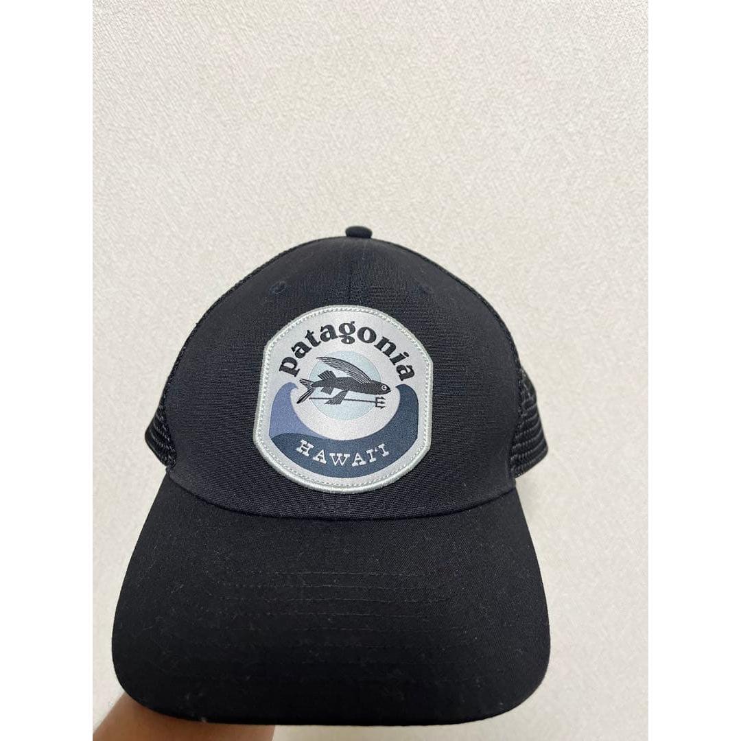 Used Patagonia Hawaii Limited Trucker Cap