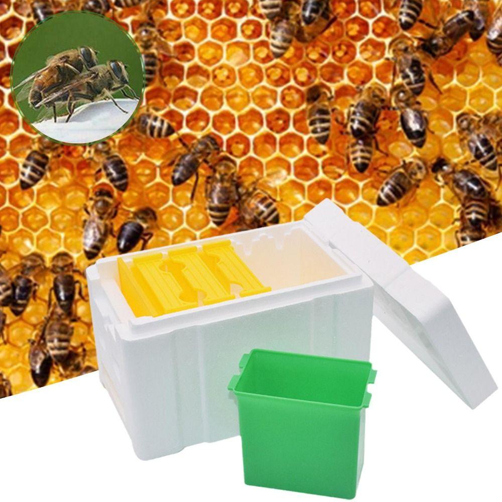 Foam Bee Hive Box Beekeeper Garden Pollination Box Waterproof Bee Breeding Case