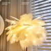 Feather Decoration Nordic Ins Style Bedside Lamp for Bedroom or Living Room - Modern Night Light