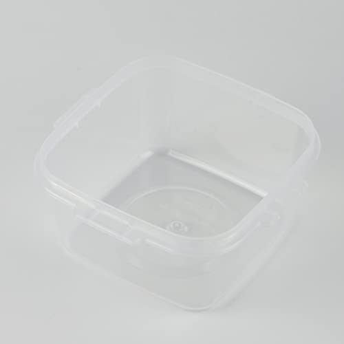 Pearl Metal Disney Storage Container, Square, Small, Chip & Dale, Made in Japan, WD-9054