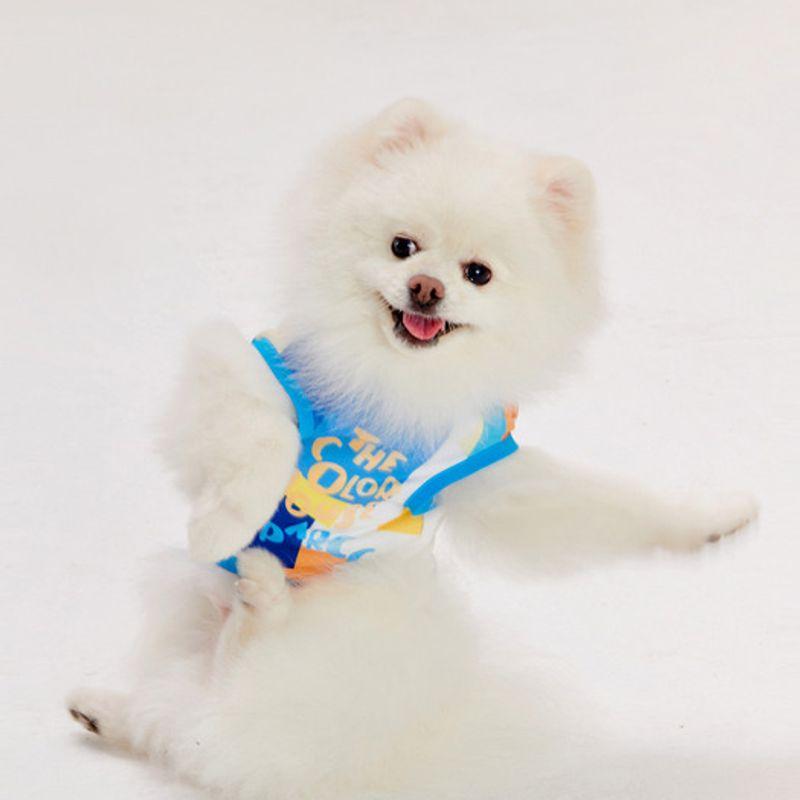 NU PARCC Blue Print Pet T-Shirt (Dog Clothes)