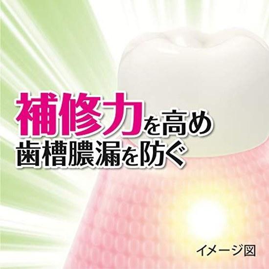 Shoyou EX Medicinal Toothpaste Preventing Periodontal Disease Herb Mint Flavor 100g Quasi-Drug