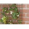 Grillage pour plante grimpante taille 0.5 x 5 m