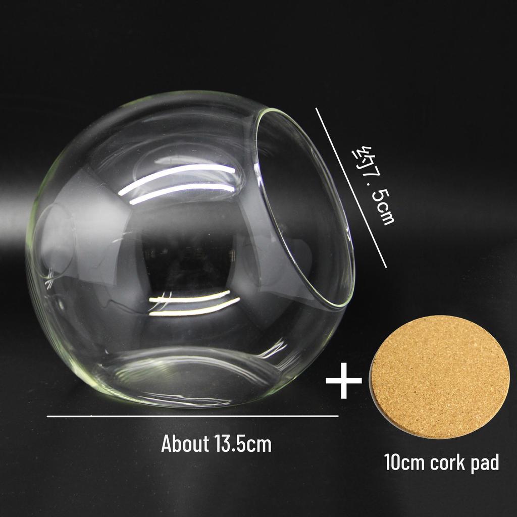 Round Oblique-Mouth Glass Vase for Succulents and Micro Landscapes
