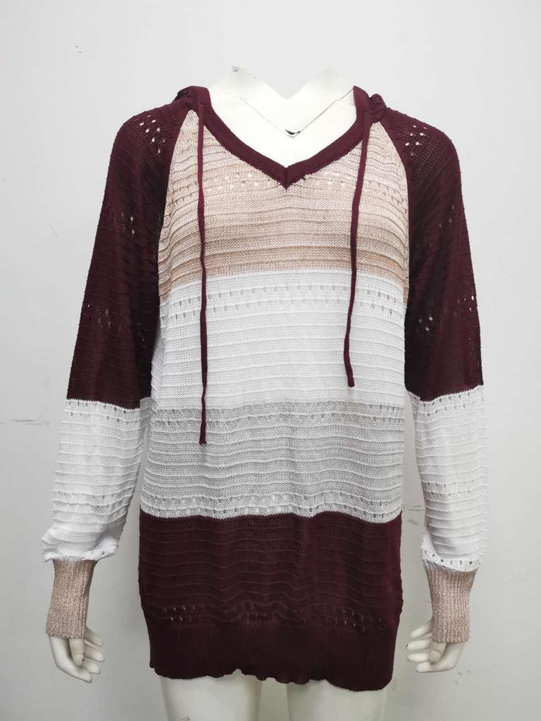 2025 Autumn & Winter Hooded Zipper Long Sleeve Sweater