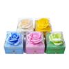 Macaron Color Jewelry Box with Soap Flower and Drawer - Holds Rings, Stud Earrings, and Necklace Pendants.