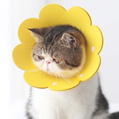 Cats Dogs Health Protection Cover Neck Cone Recovery Elizabethan Collar Pets Protective Collar