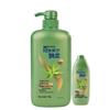 Rejoice Daily Care 2-in-1 Feuchtigkeitsspendendes & Erfrischendes Shampoo Bundle