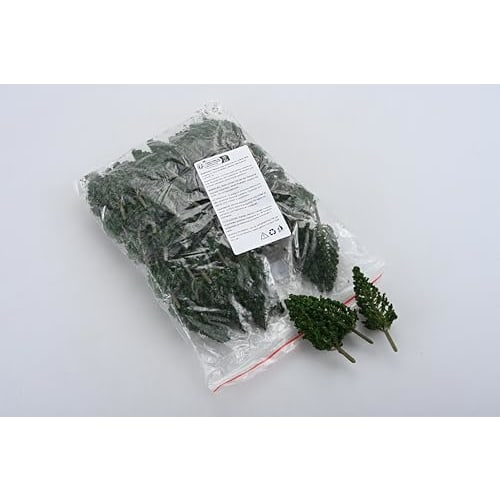 Set of 50 Pine Trees, Model Trees for Dioramas, Railway Models, Architectural Models, Miniature Garden Scenery Collection, Approx. 78mm