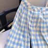 Women's Blue & White Checkered Wide-Leg Pants - Loose, Plus Size, Slimming, Floor-Length