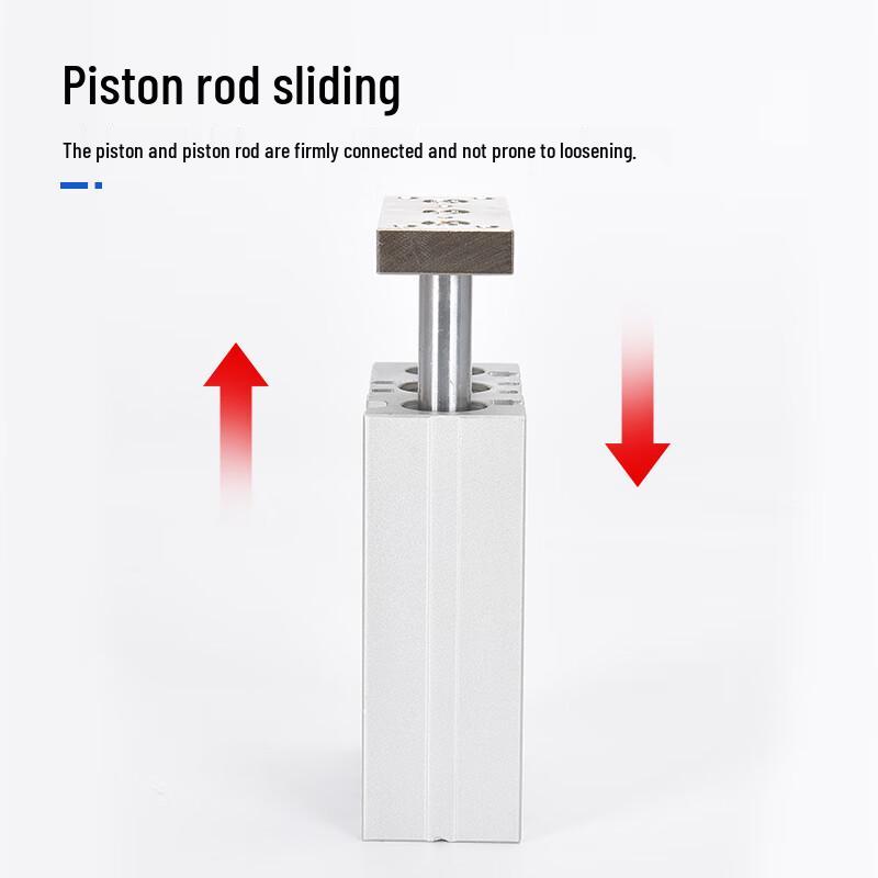 Pulinle TCM Guided Rod Cylinder
