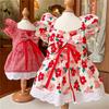Kleid für Hund Süßes Gitter-/Blumenmuster Rock Haustier Geburtstags-Hochzeitskleid