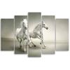 Five Piece Picture Canvas Print White Horses Galloping