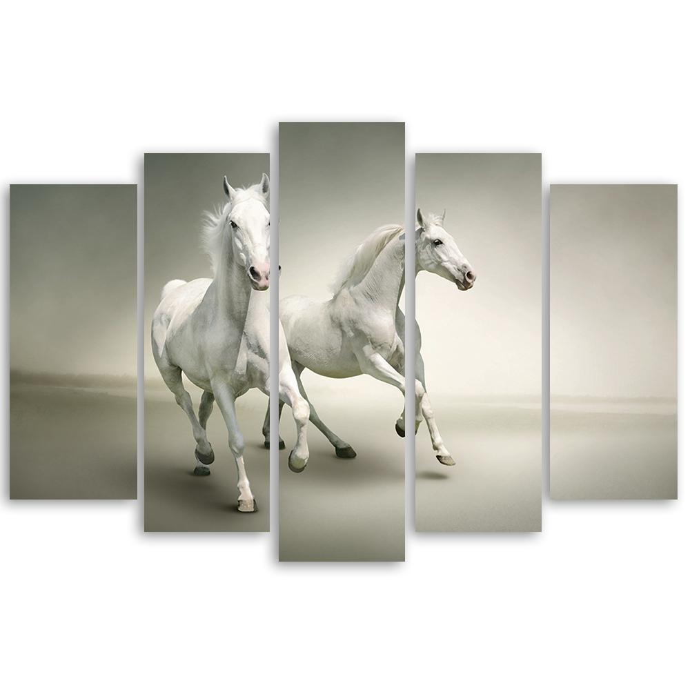 Five Piece Picture Canvas Print White Horses Galloping