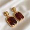 Retro geometric amber earrings women's light luxury high-end fashion versatile earrings niche design earrings