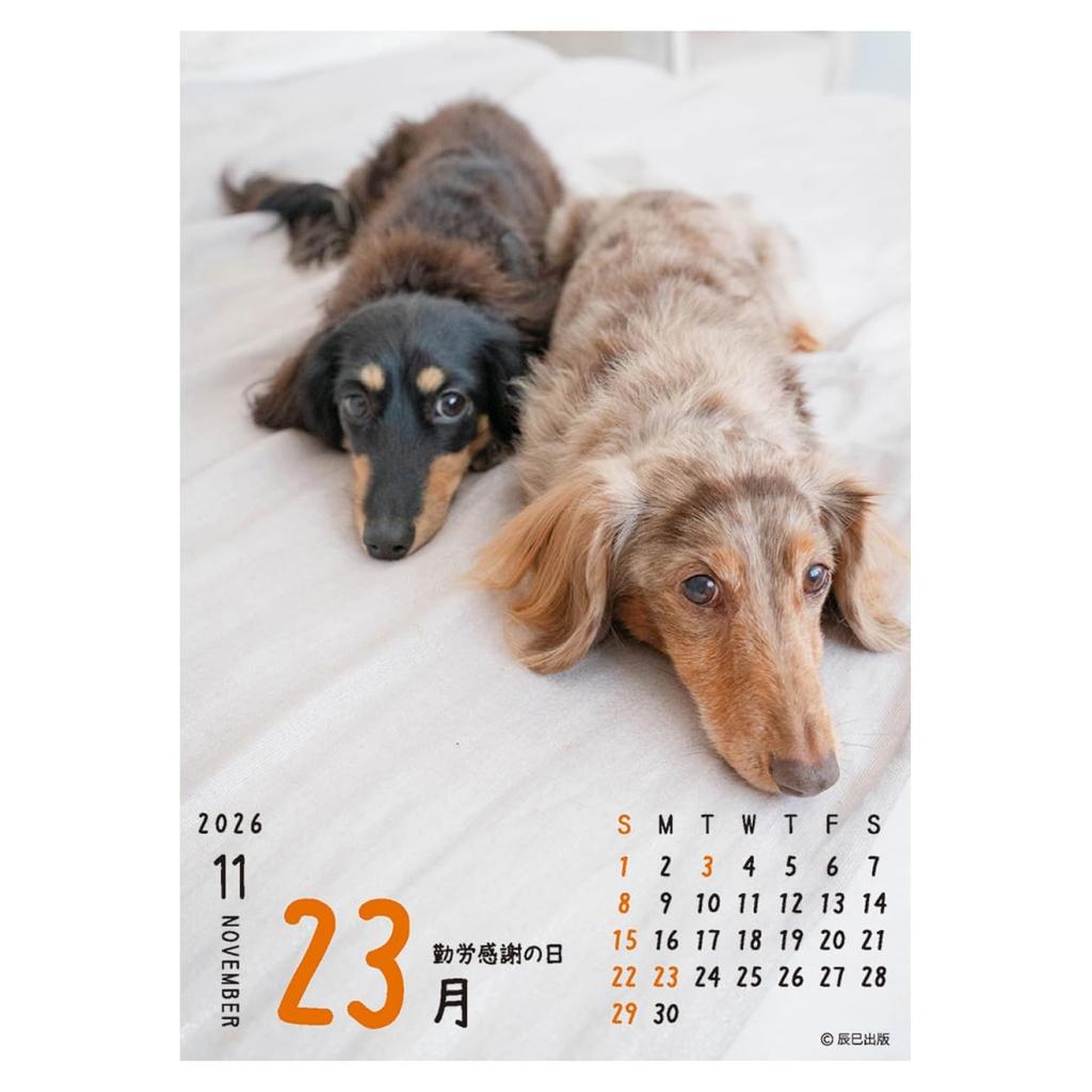 2026 Calendar One!! Flip