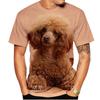 Kawaii Poodle Dog 3D Print Animal T-shirts Men Woman Fashion Streetwear Short Sleeve T Shirt Harajuku Tops Tees Kids Clothing