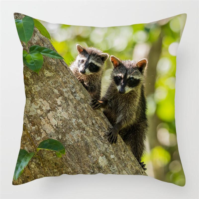 Copricuscino Procione Carino 45x45cm Stampa Uccello Selvatico Federa per Casa Divano Letto Sedia Cuscini Decorativi