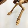 Halloween Mouse Skeleton Realistic Festival Skeleton Props Animal Skeleton