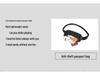 RFID Anti-Theft Waterproof Passport & Phone Waist Bag