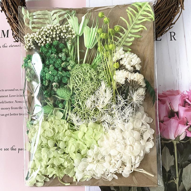 Exquisite Eternal Dry Flower Ancient Style Group Fan Material Pack for Children's Handmade Exclusive Decoration Dried Flowers