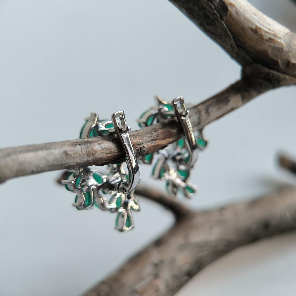 Серебряные серьги с натуральным агатом 5.675ct (2196211)