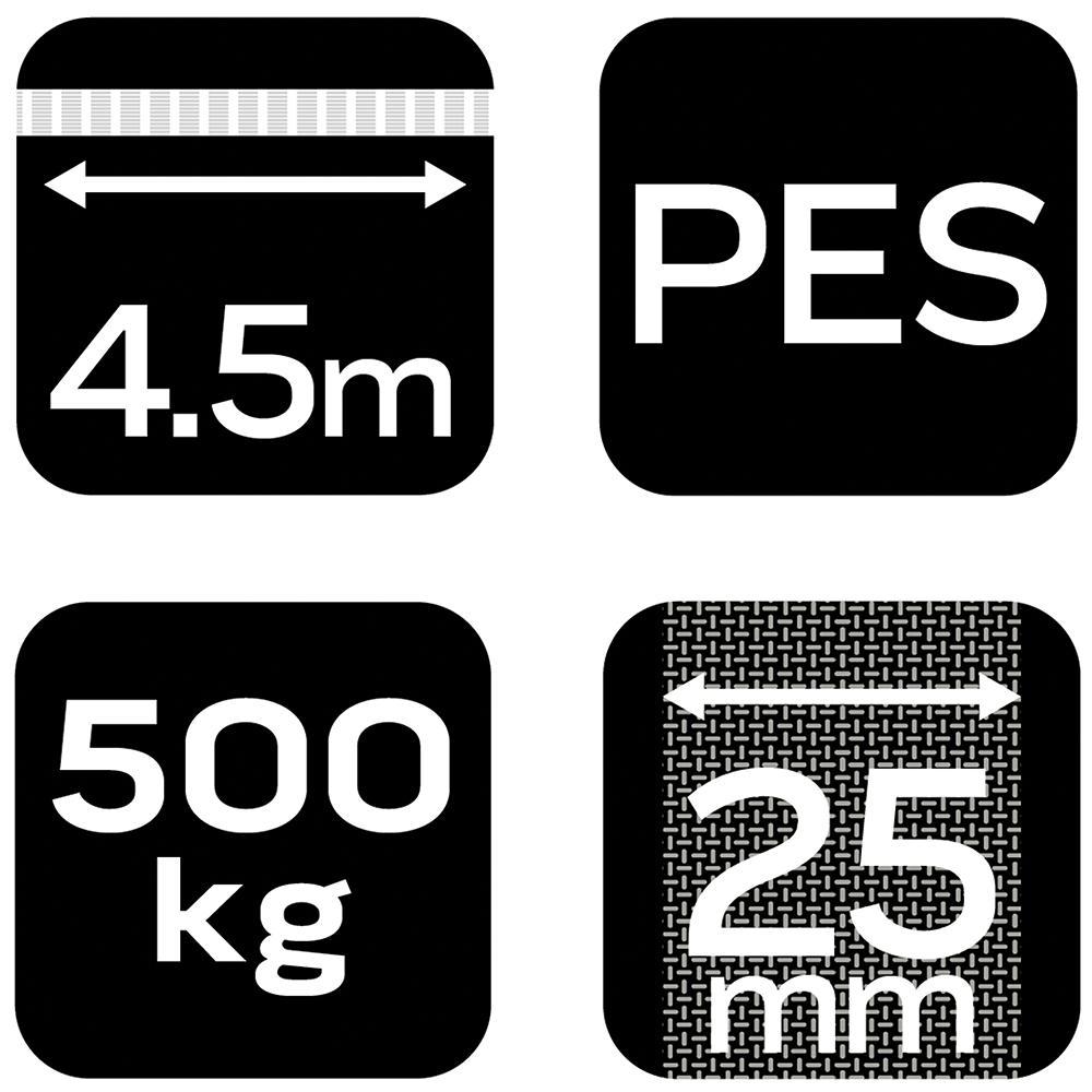 Pas mocujący z grzechotką 25 mm x 4.5 m, wytrzymujący 500 kg PES