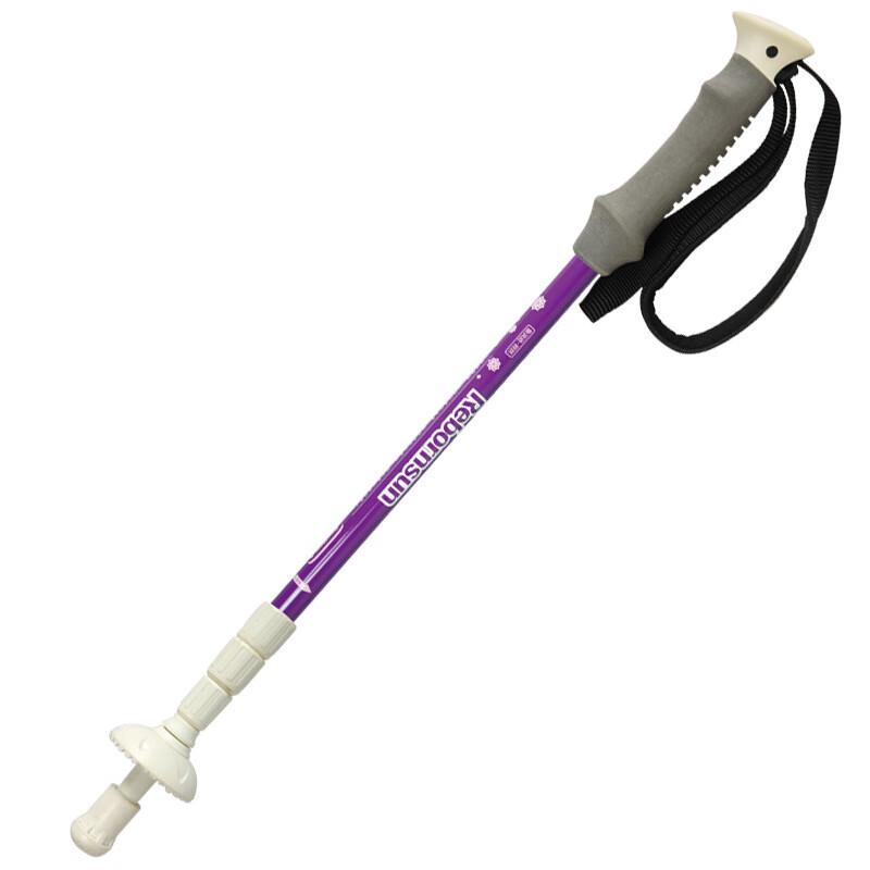 Reflec Ultralight 4-Section Folding Trekking Pole