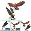 Detailed Plastic Decor Model Of African Fish Eagle And Stunning Golden Eagle For Kids Play