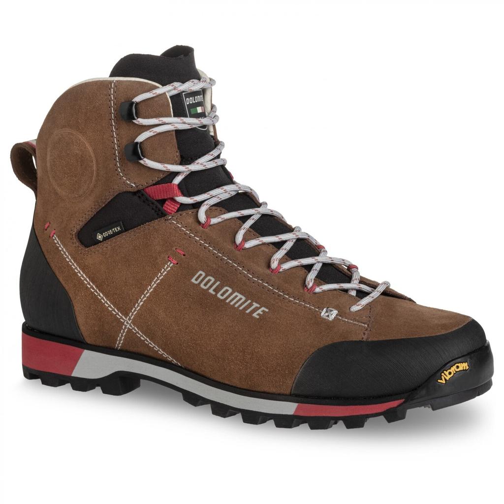 Hiking Shoes Dolomite 54 Hike Evo GTX Bronze Brown