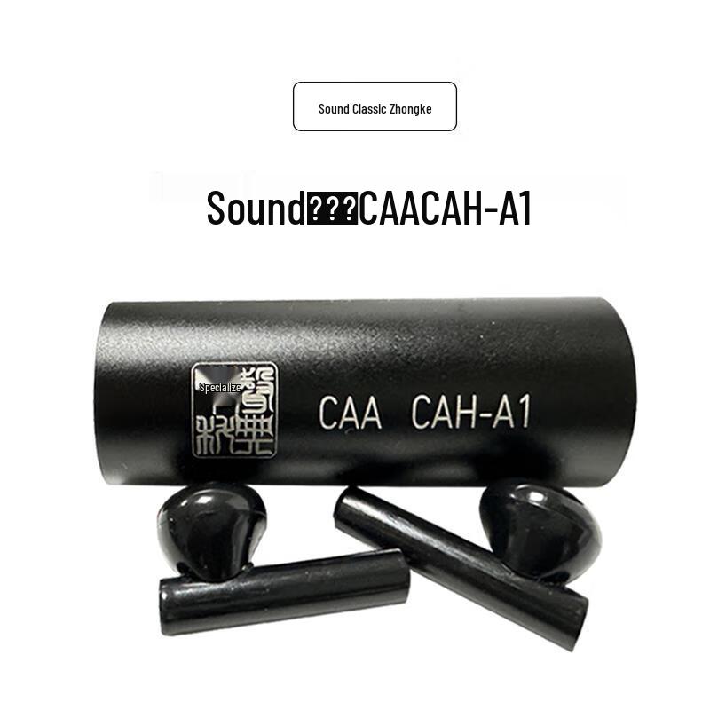 VoiceTech AI Simultaneous Translation Wireless Earbuds