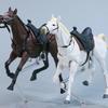 Painting Horse Figurine Mannequin Sketch Drawing Miniature Art Statues Horse Figma Doll Decor House Decoration Table Accessories