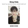 Stray Kids World Tour dominATE SEOUL SKZOO HAIR CLIP Official Photocard