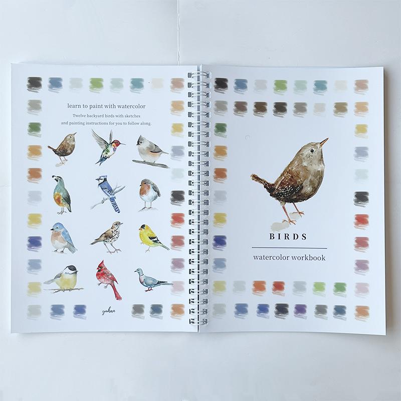 Beginner Watercolor Workbook Painting Kit – 12 Colors Paint Set With Brush Art Supplies For Adults & Teens