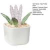 Artificial Potted Plant Handmade Colored Glaze Lavender Potted Plant