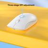 Wygodna bezprzewodowa mysz Symetryczna konstrukcja Przenośna Cicha