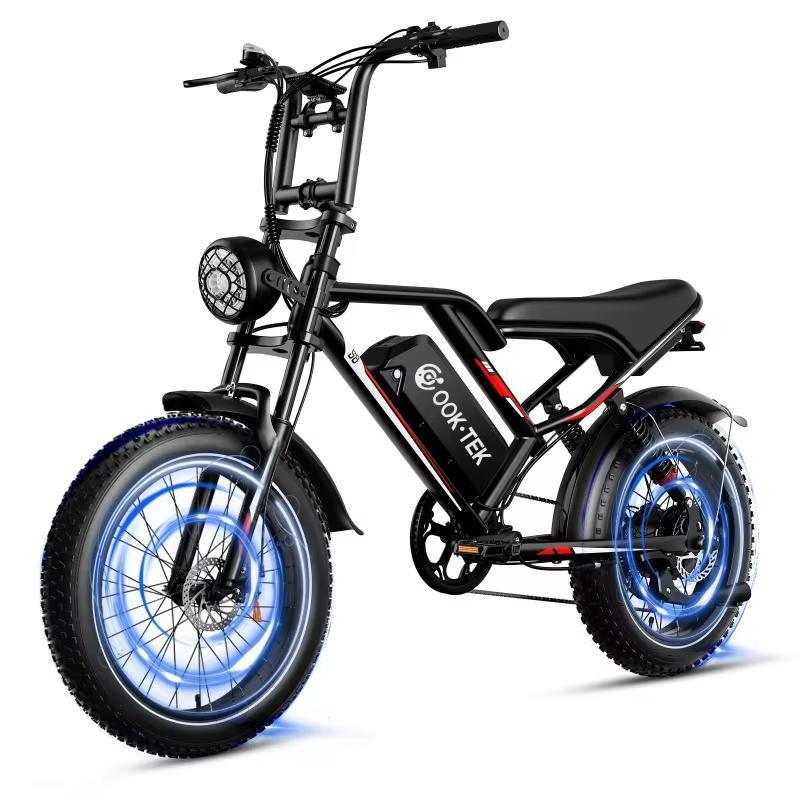Ebike Cool S8 1000W Doppio Motore 48V 17.5AH Ruote Larghe da 20 pollici Sospensioni Anteriori e Posteriori Ebike Elettrica a Pedalata Assistita per Adulti (con Pedale)