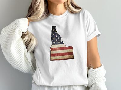 Vintage Idaho Flag T-Shirt, American Pride Comfort Colors Tee