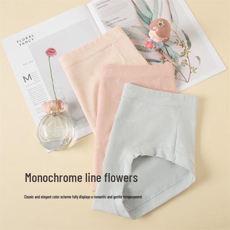 Dingguagua Women's Cotton High-Waist Underwear Multipack ZY33033