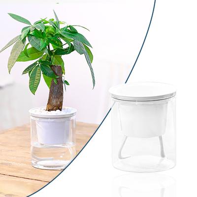 Automatischer wasserabsorbierender Hydrokultur-Blumentopf aus Kunststoff für Sukkulenten